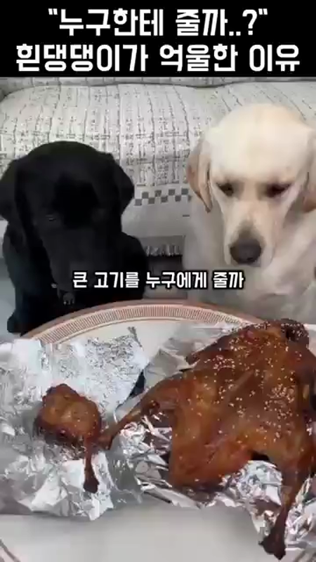동영상 썸네일