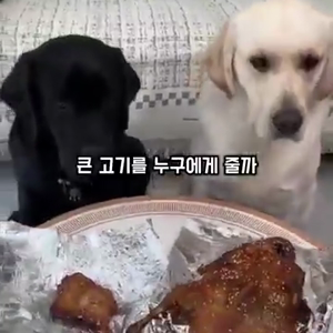 동영상 썸네일