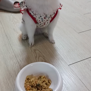 동영상 썸네일