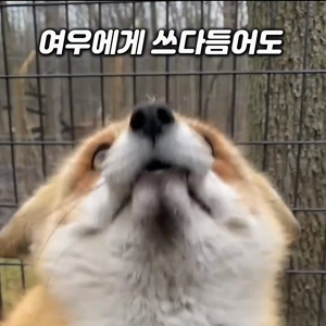 동영상 썸네일