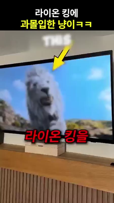 동영상 썸네일