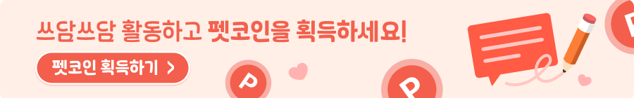 펫코인 배너